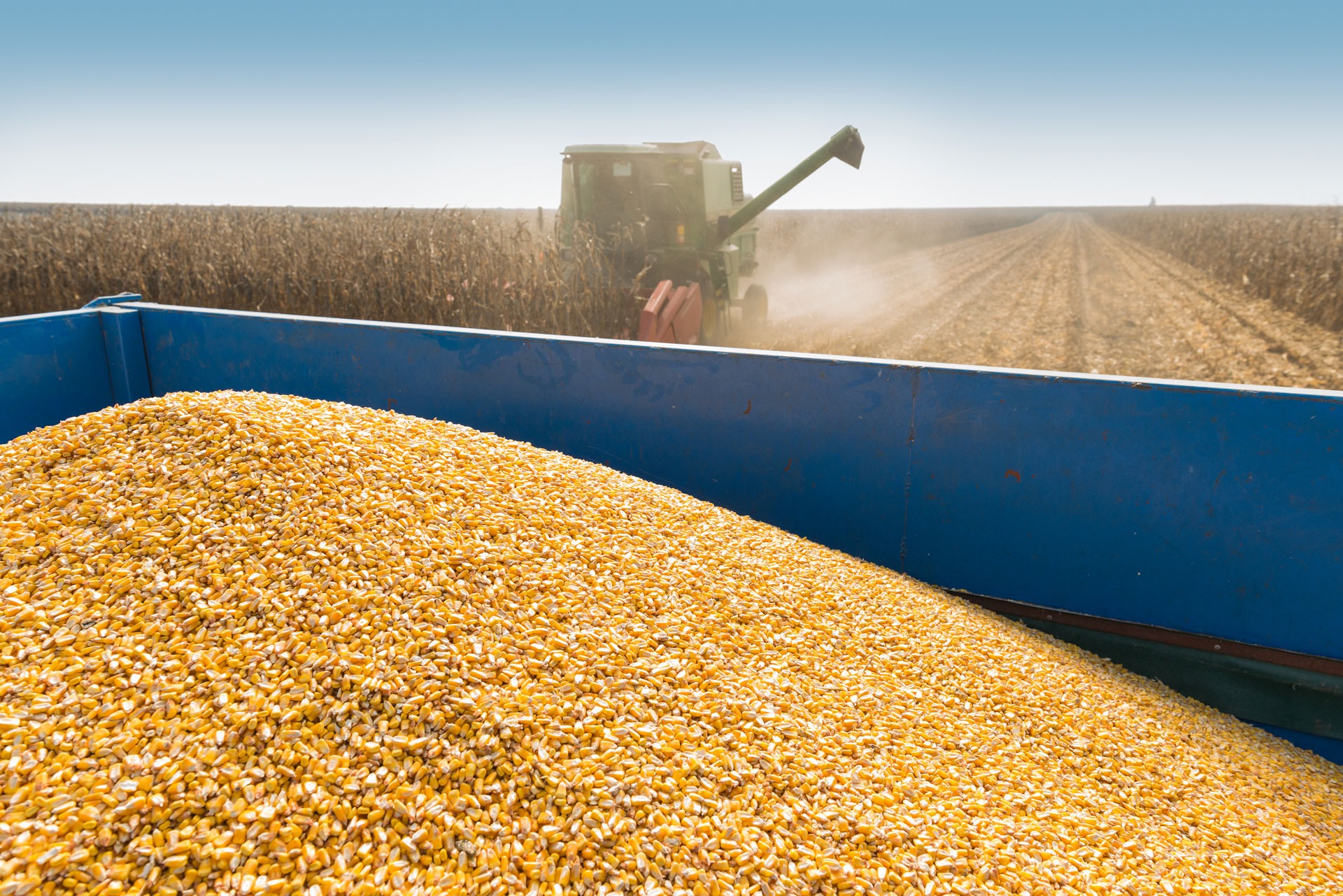 Ethanol and a Mandate to Grow Corn FoodPrint