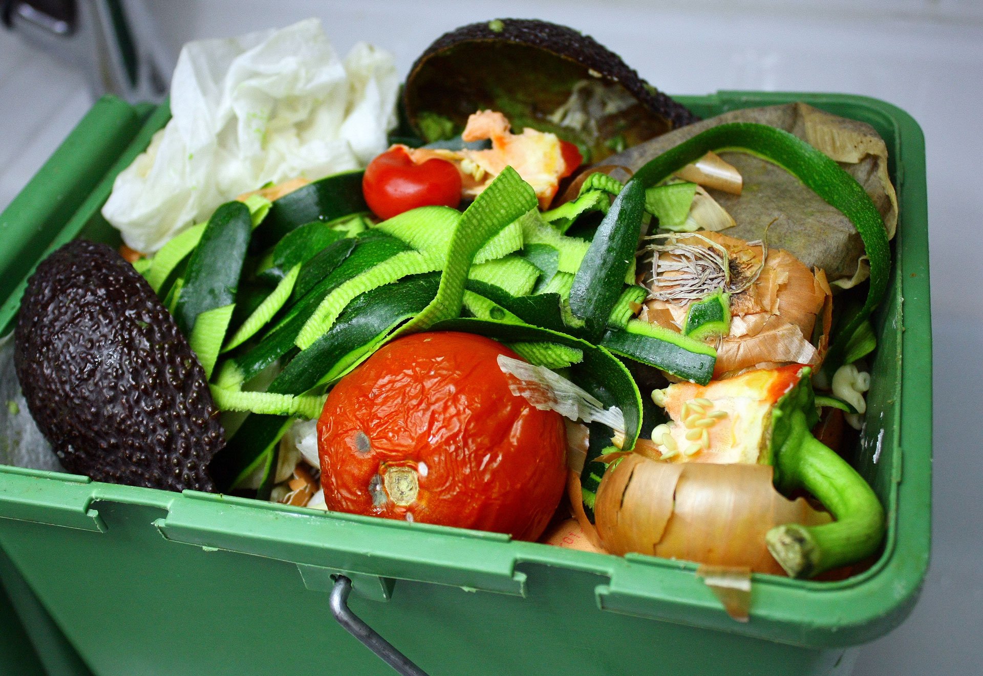 Разрушь еду. Пищевые отходы. Для пищевых отходов. Утилизация пищевых отходов.