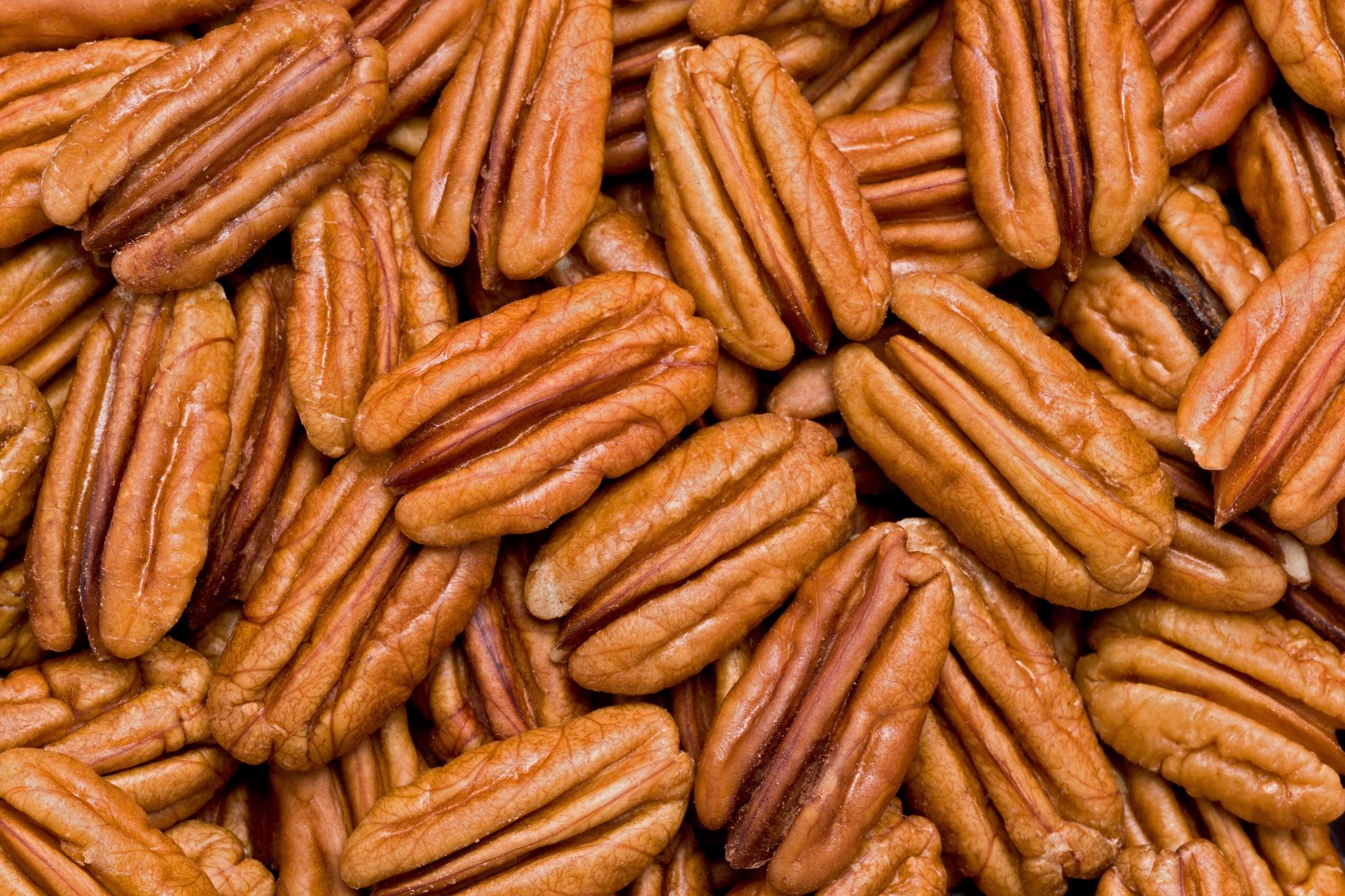 Real Food Encyclopedia Pecans Foodprint