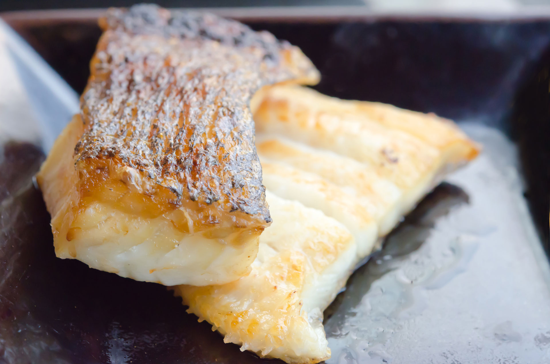 Real Food Encyclopedia Black Cod FoodPrint