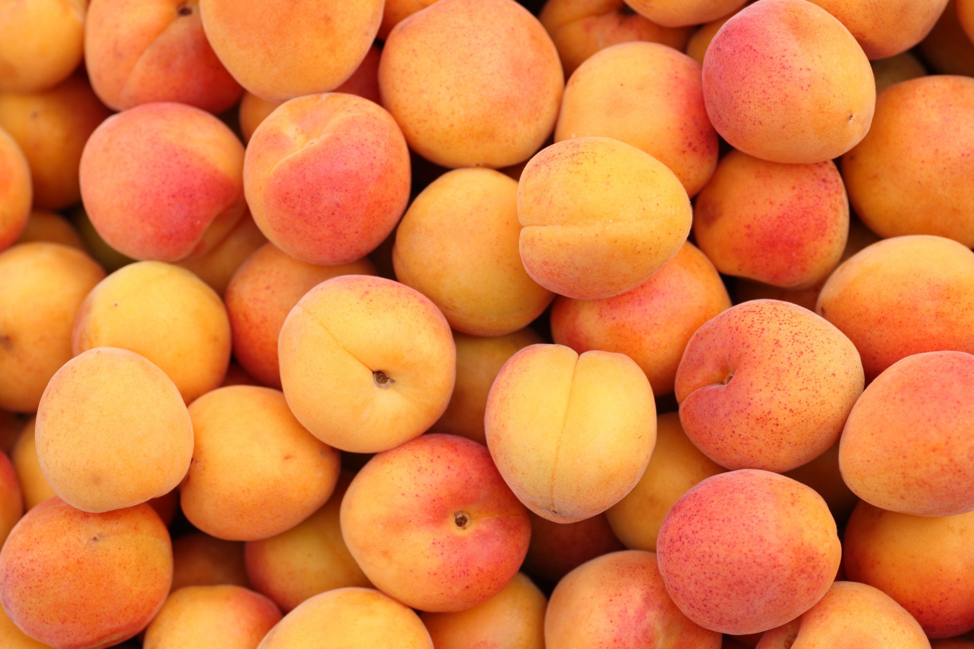 Real Food Encyclopedia Apricot FoodPrint