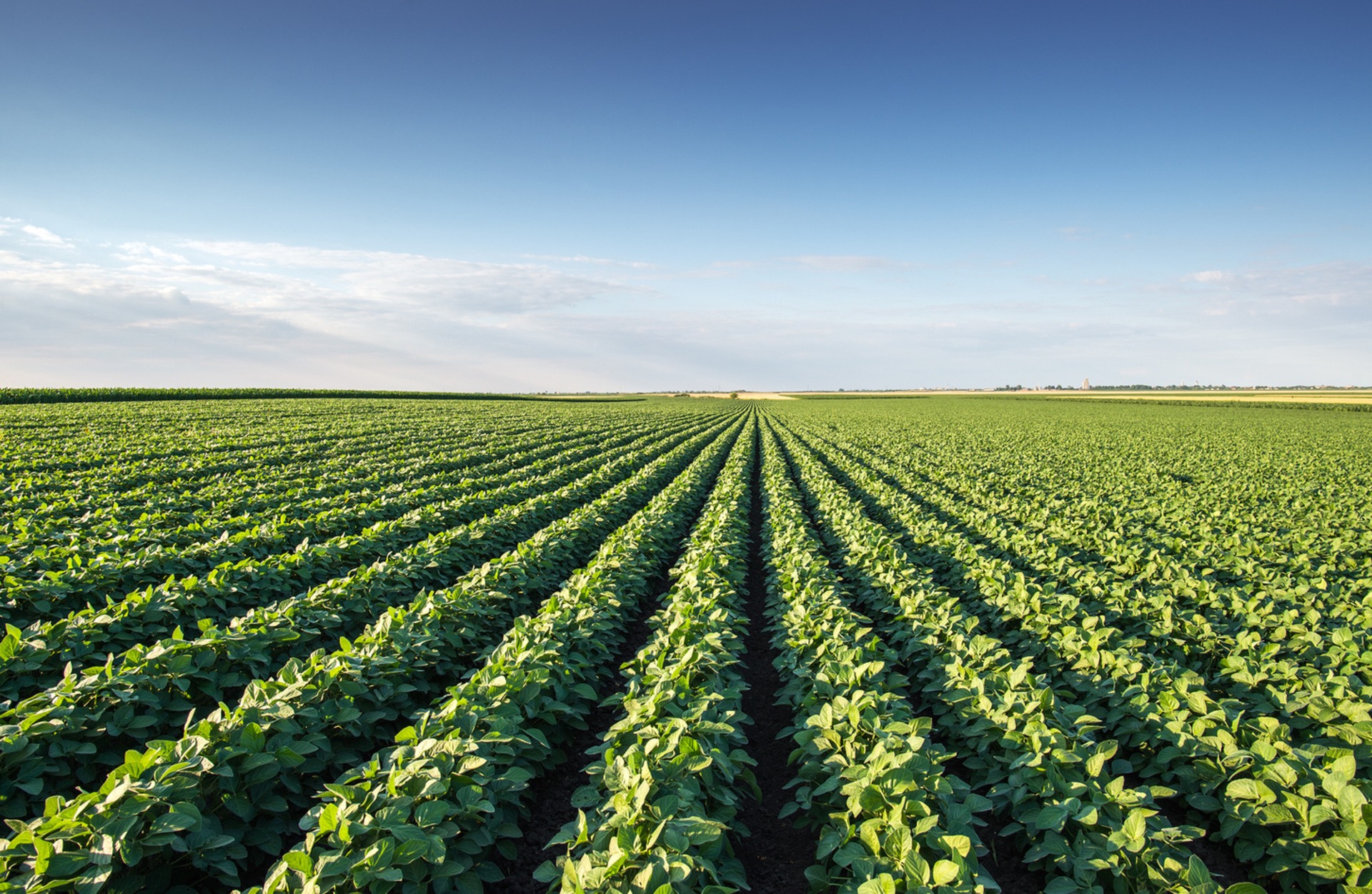 Partnering to Drive Ontarios Agriculture Sector - Ontario 