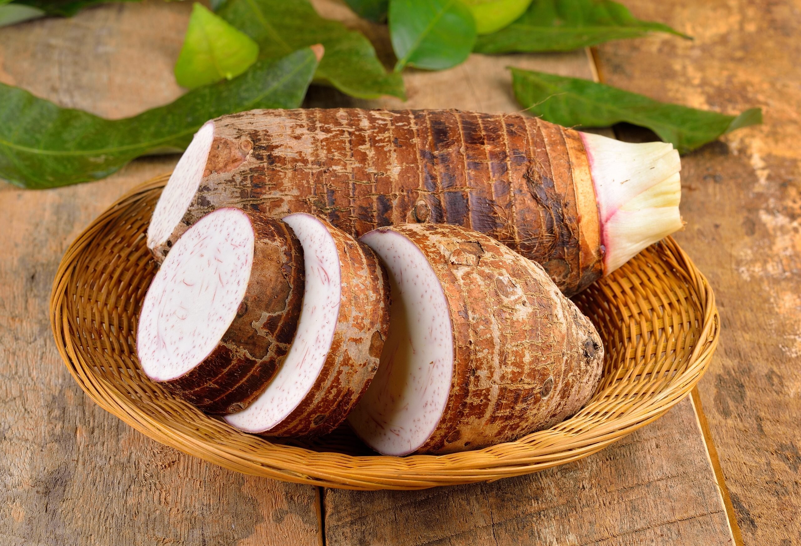 Taro Root Stems Information and Facts