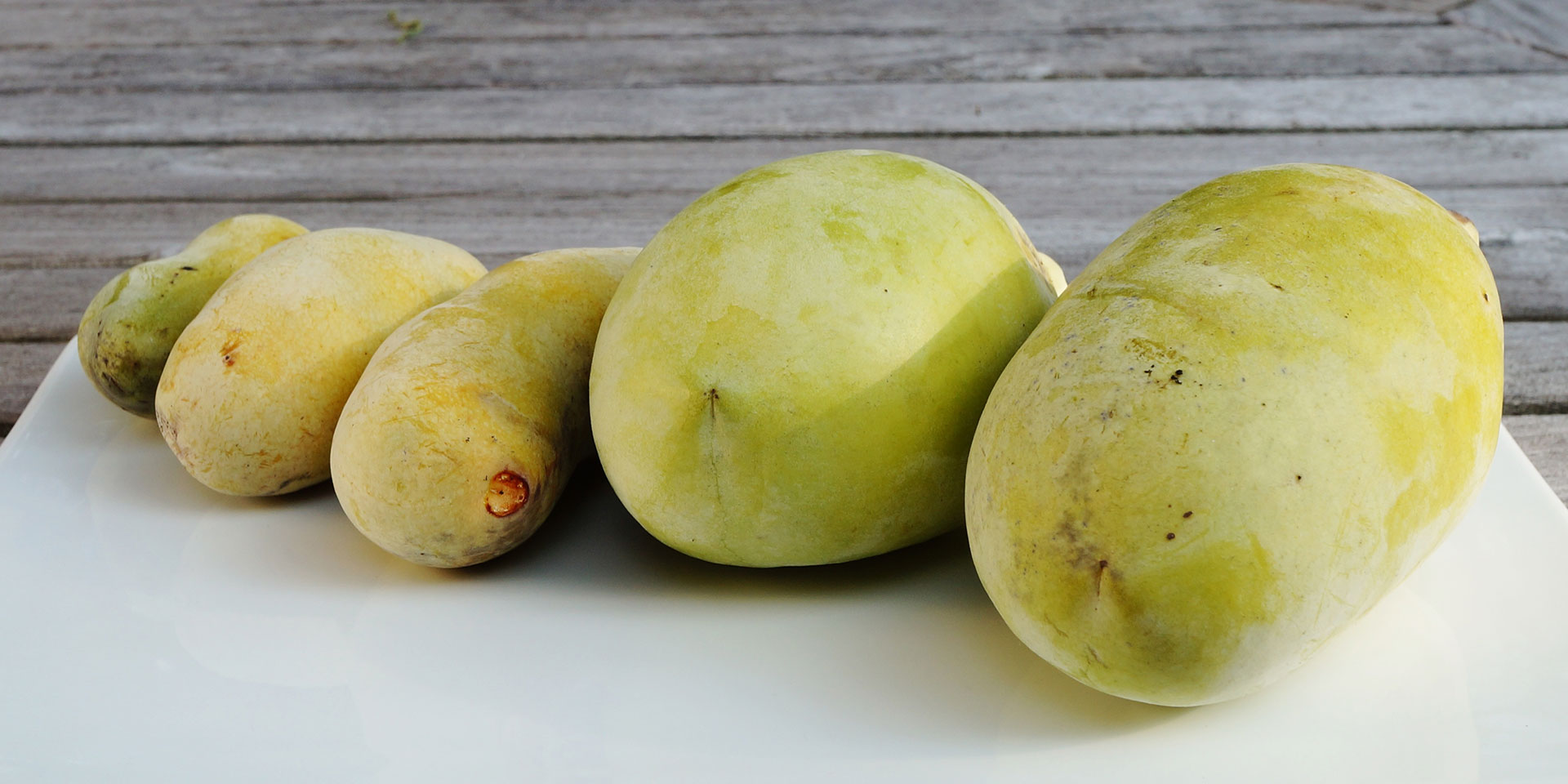 Pawpaw Real Food Encyclopedia FoodPrint