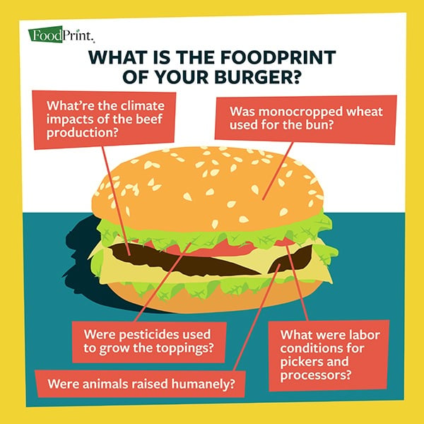 What is a FoodPrint and Why Should I Care about Mine? - FoodPrint