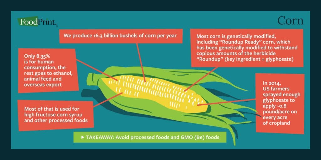 Industrial Crop Production The FoodPrint of Crops FoodPrint
