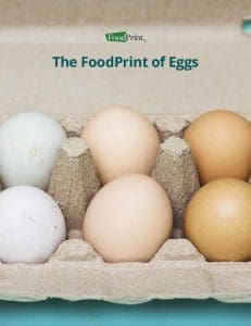 FoodPrint of Eggs Report - PDF Version
