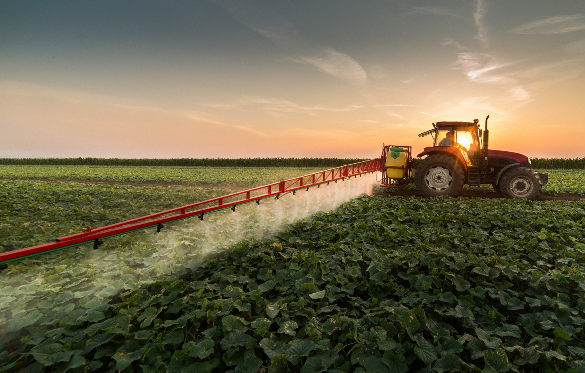 industrial agriculture