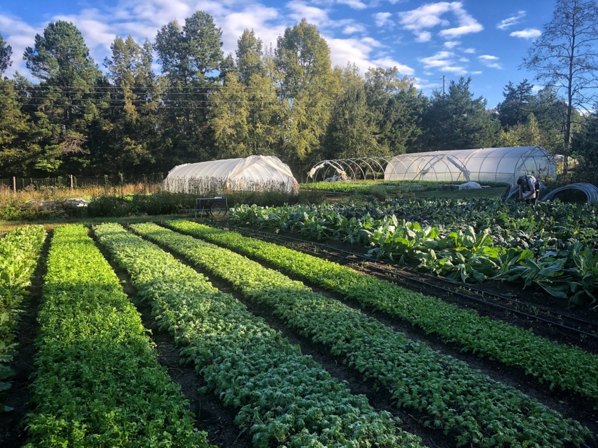 sustainable food and ag systems nwtc