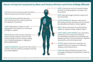 The FoodPrint of Beef - FoodPrint