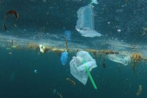 plastic straw and plastic bag floating in water