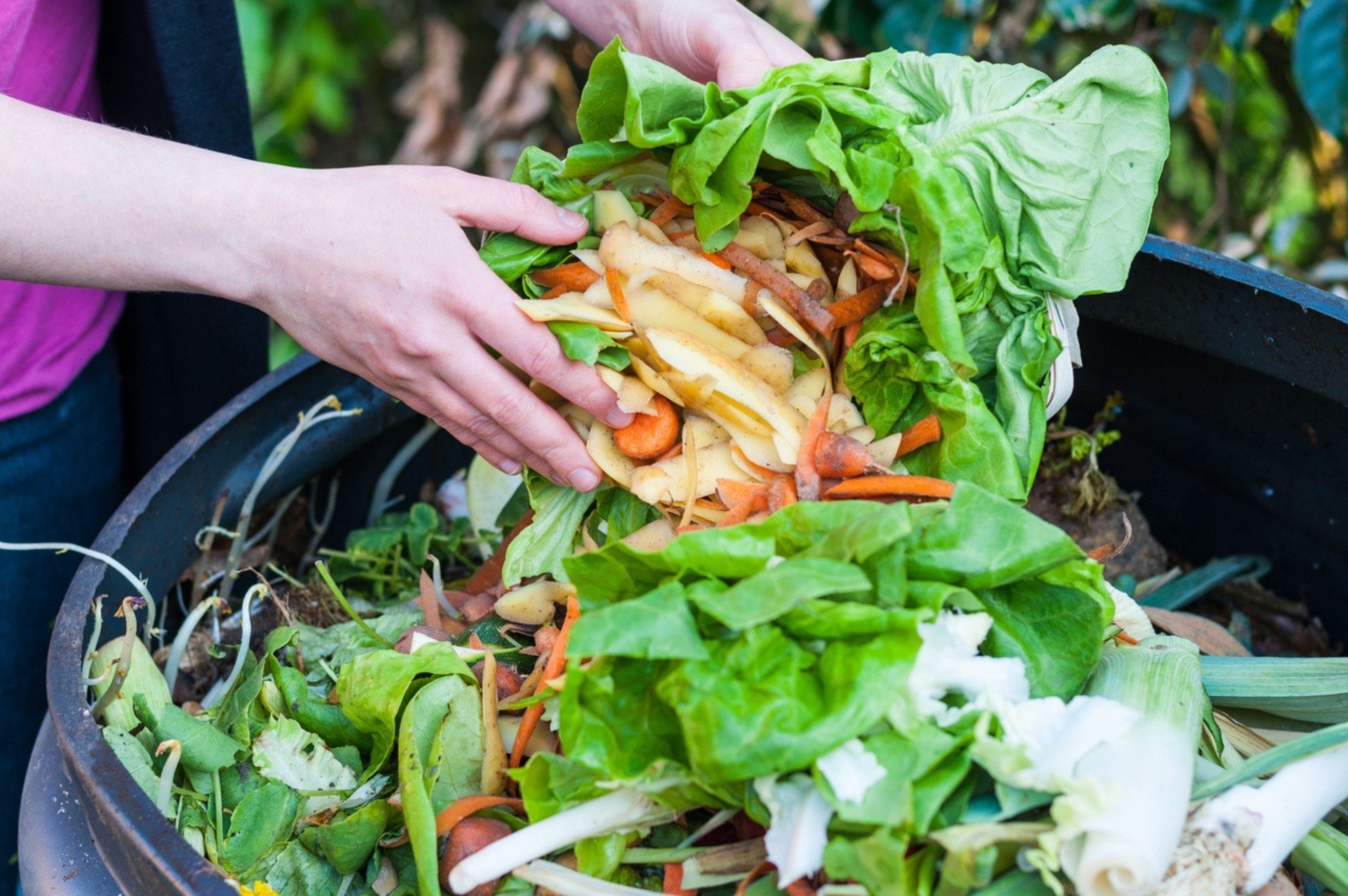person emptying compost to prevent food waste