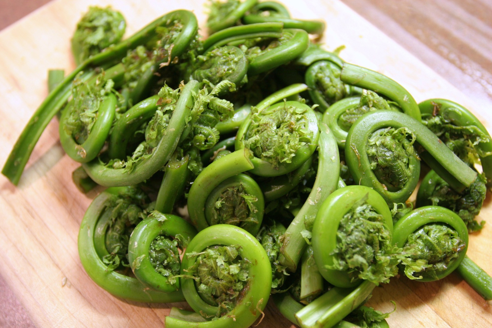 Real Food Encyclopedia Fiddleheads FoodPrint