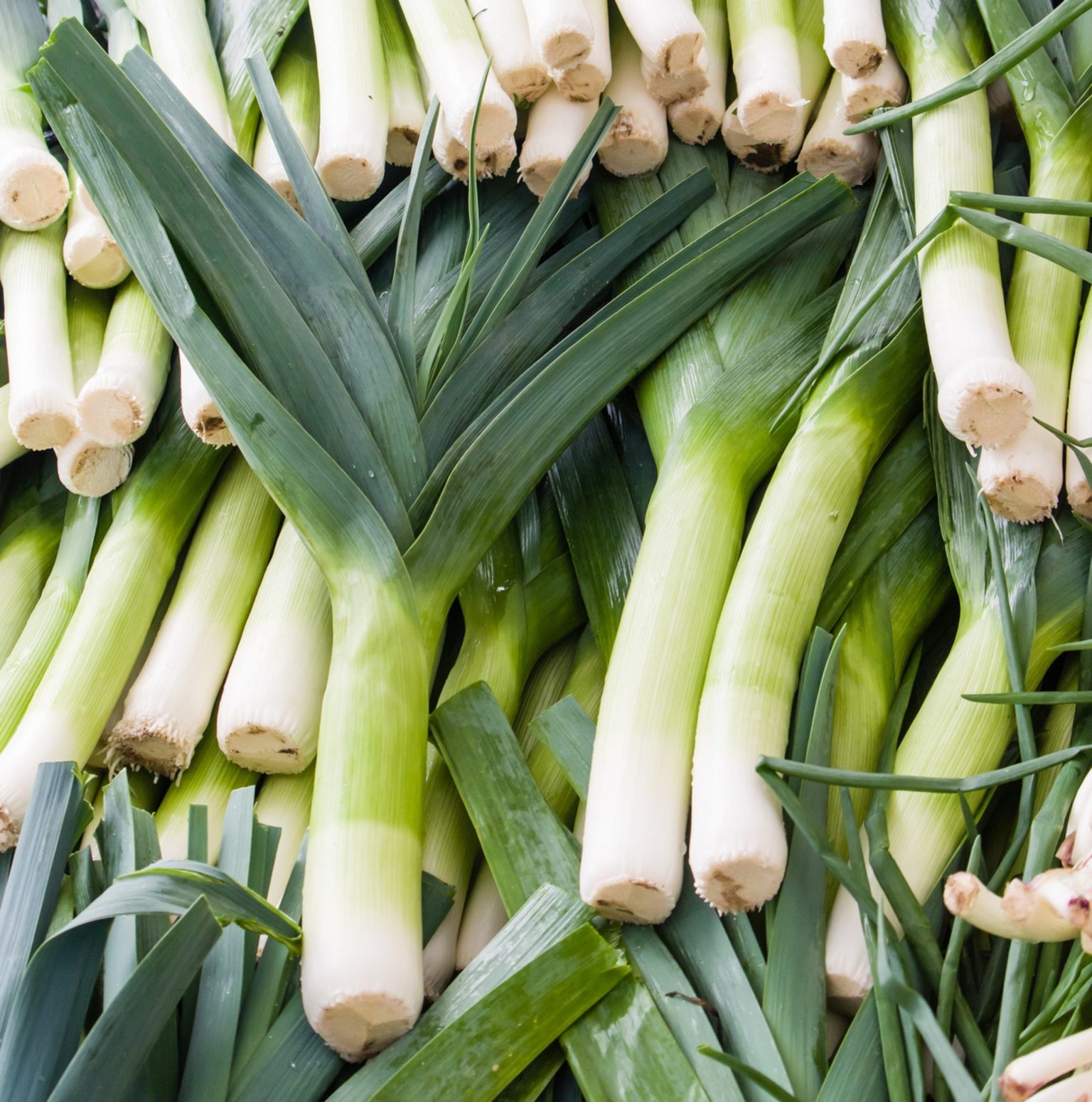 Leek Tops Scallion And Spring Onion Greens FoodPrint