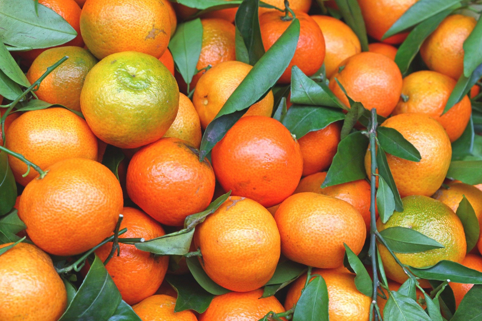 What Do Oranges Symbolize In China