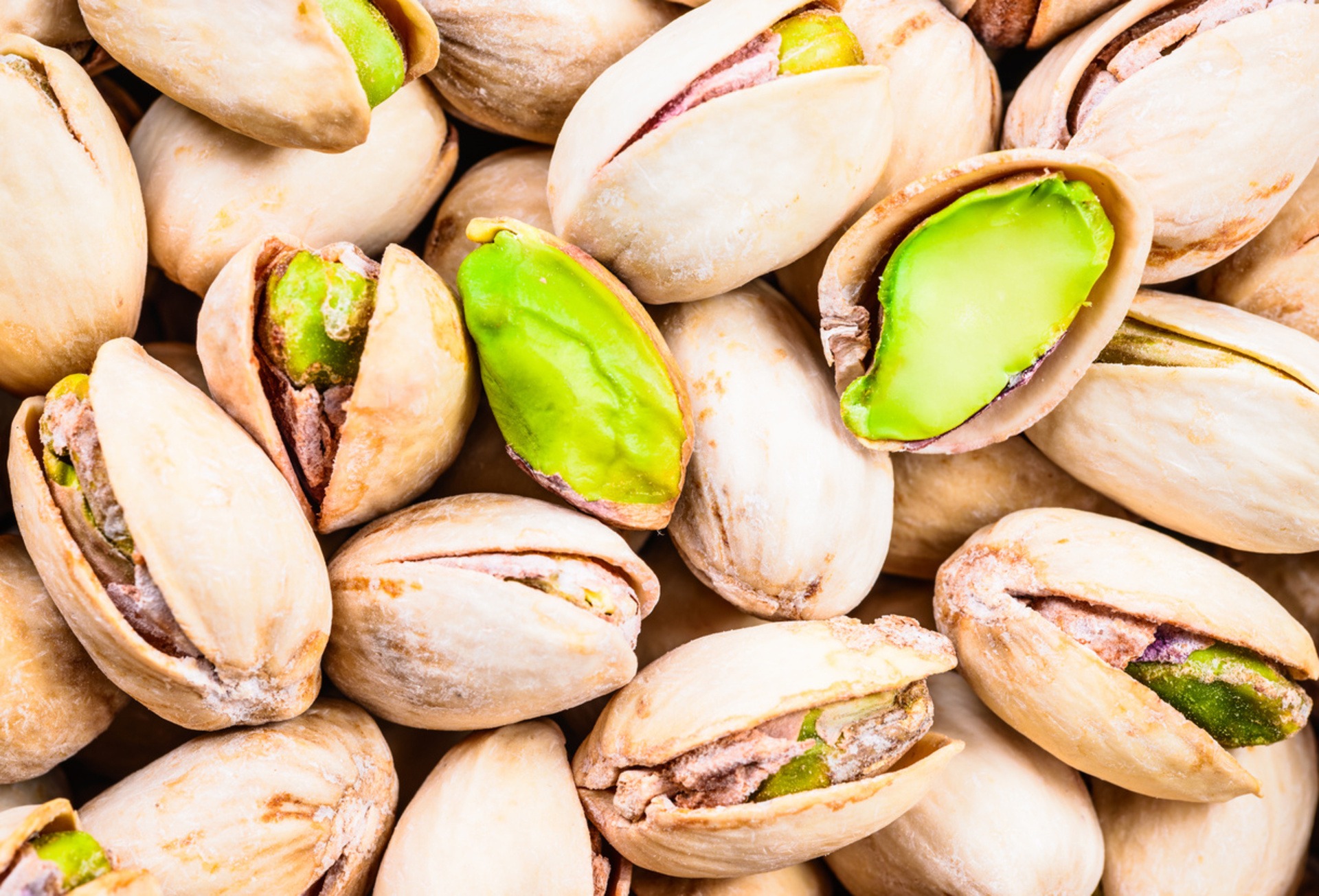 are pistachio trees poisonous