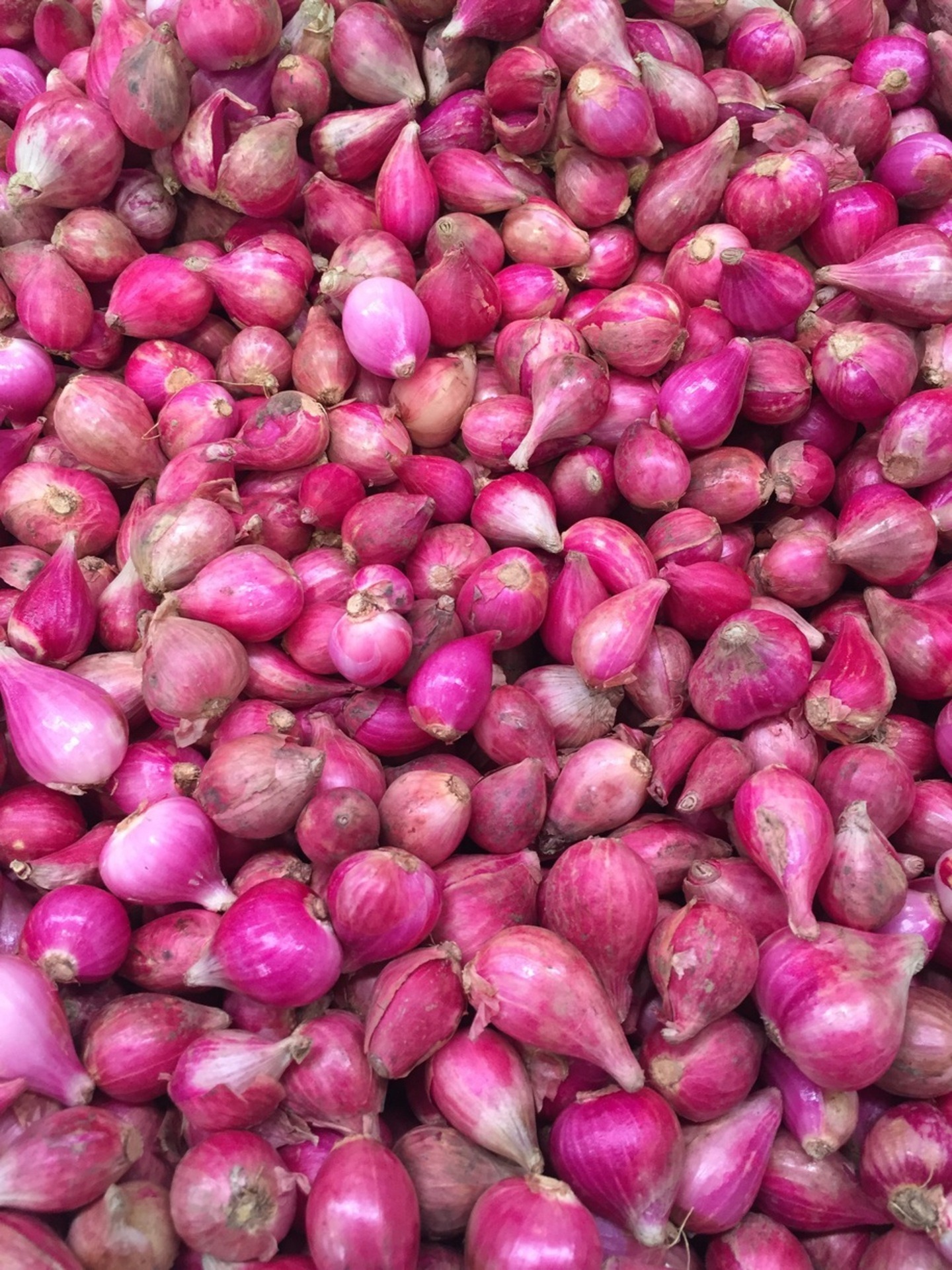 Banana Shallots Information and Facts