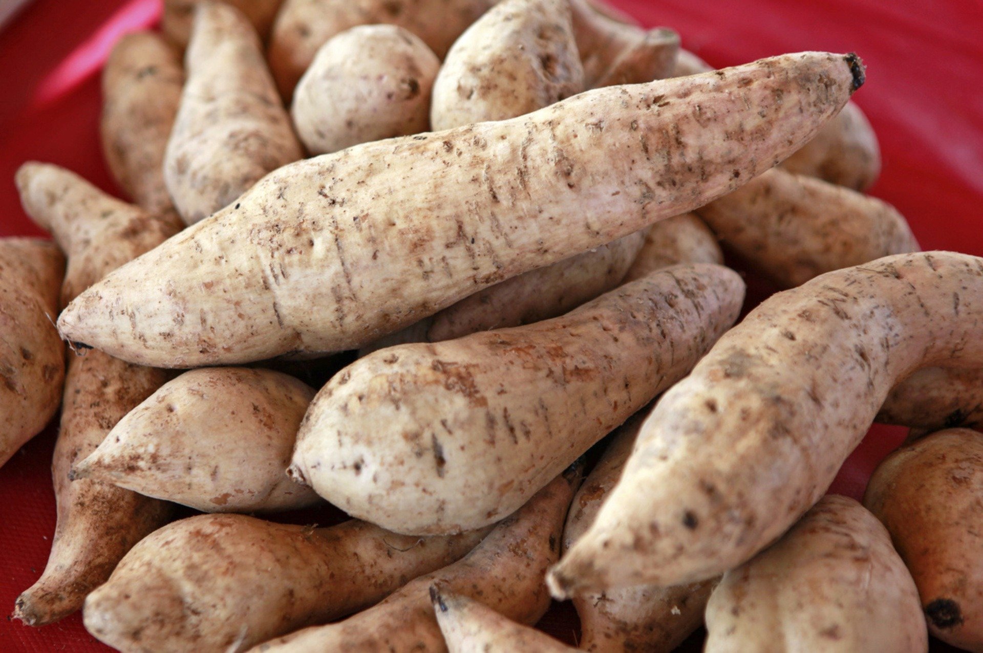 Most Of The World's Yams Come From This Country