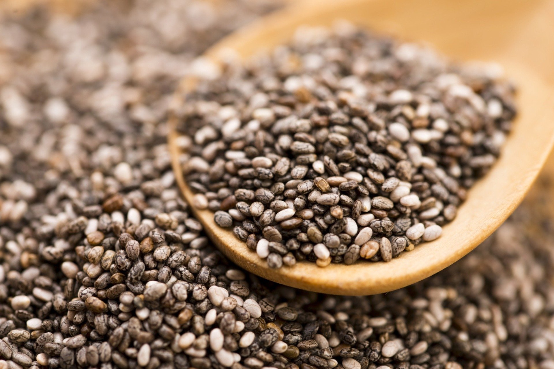 Real Food Encyclopedia - Chia Seeds - FoodPrint