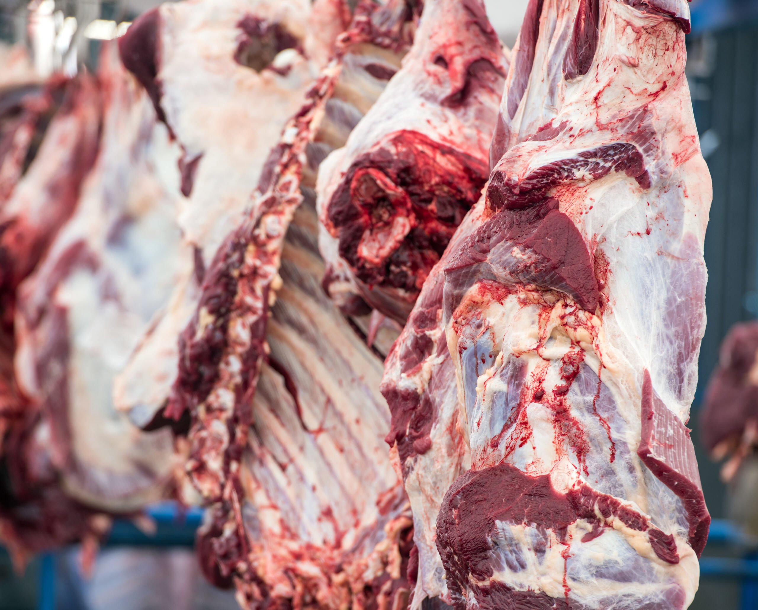 Learn More About Meatpacking and Slaughterhouses - FoodPrint