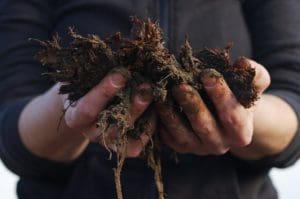 hands holding soil