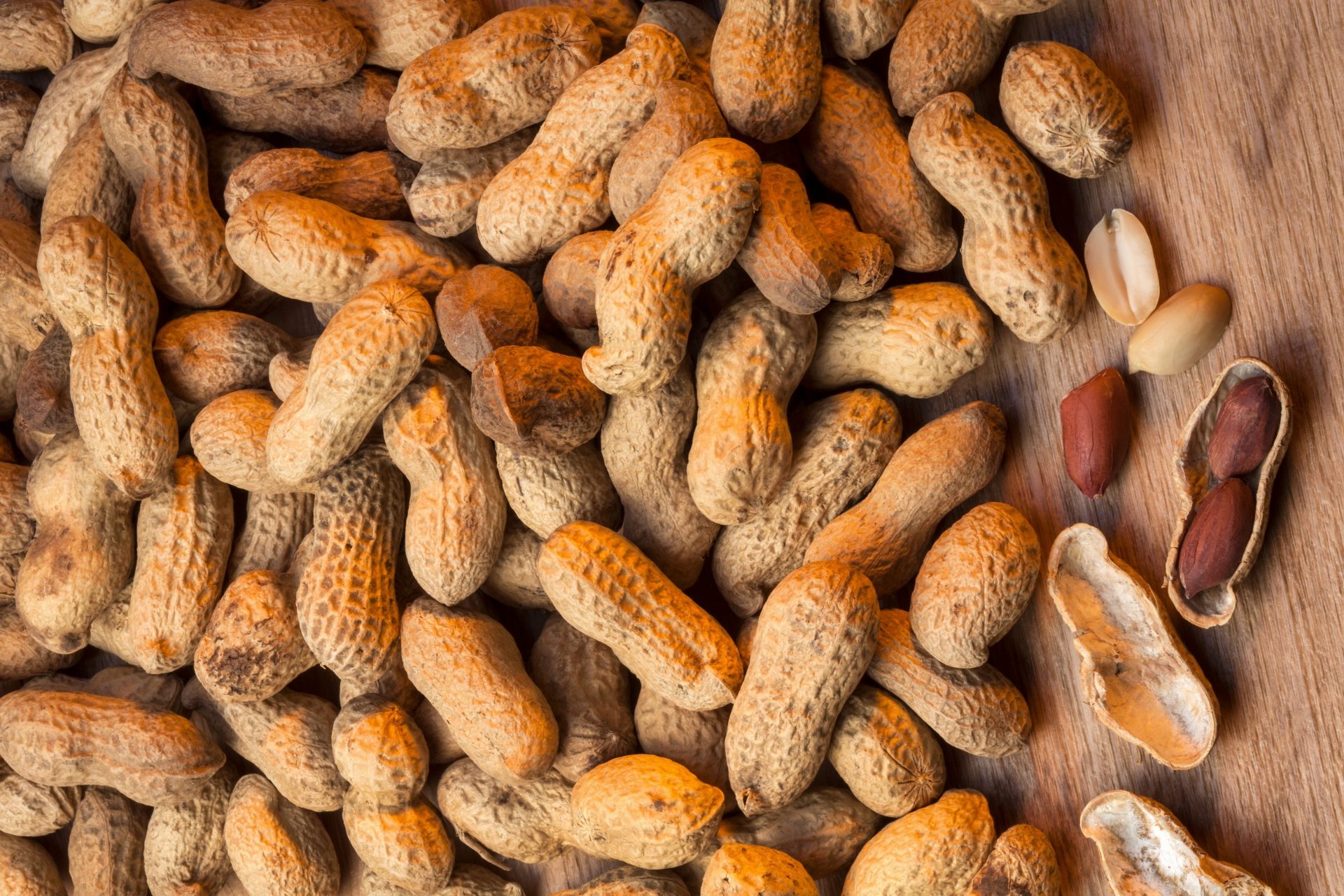 Real Food Encyclopedia Peanuts Foodprint