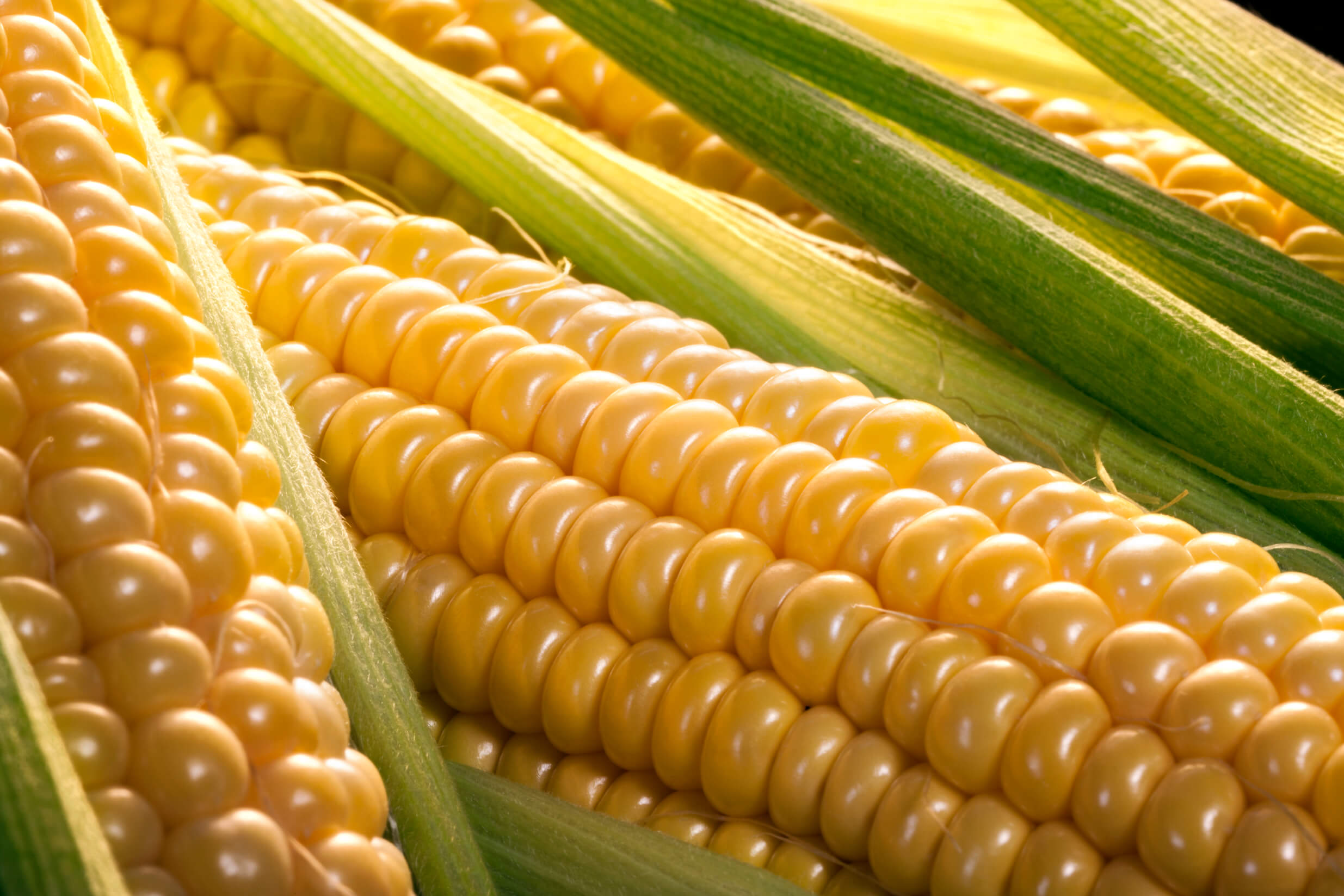 What Is A Bunch Of Corn Called