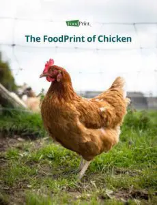 FoodPrint of Chicken Report Cover