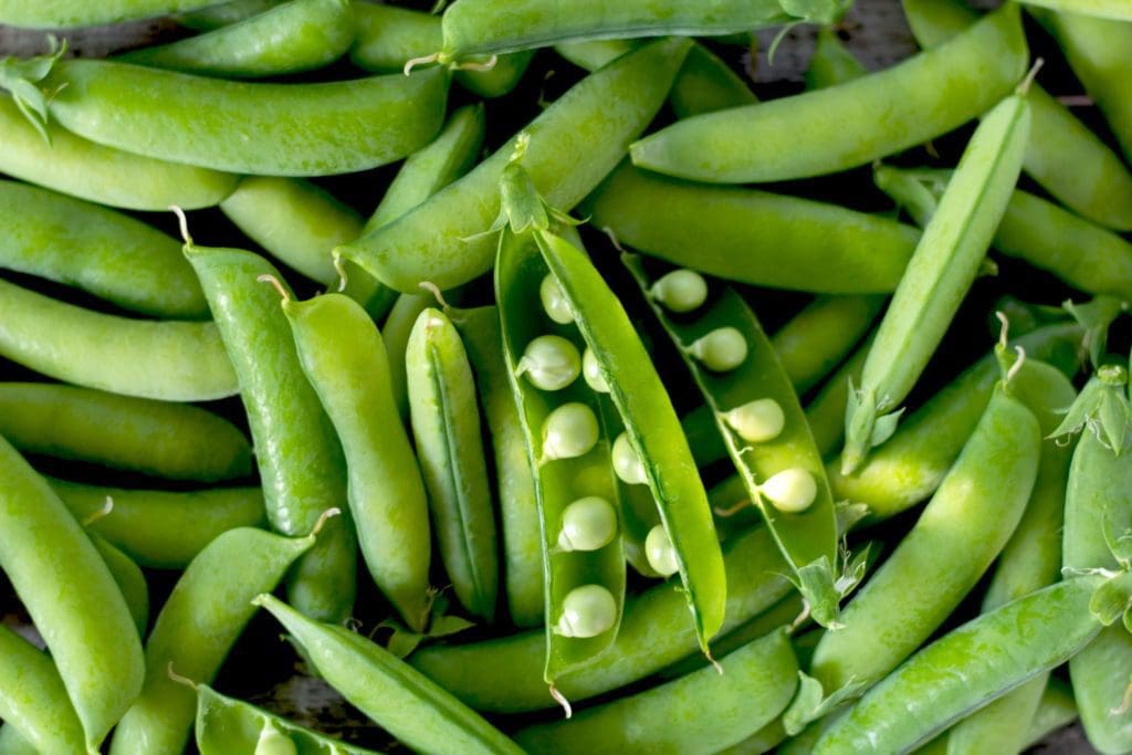 Fresh peas in a pod