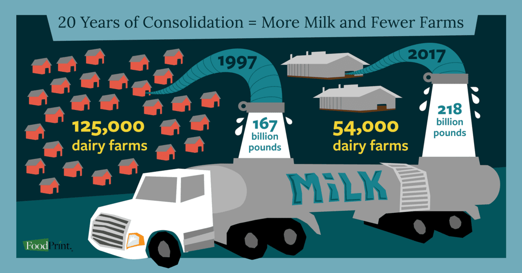 Infographic of consolidation on dairy farms