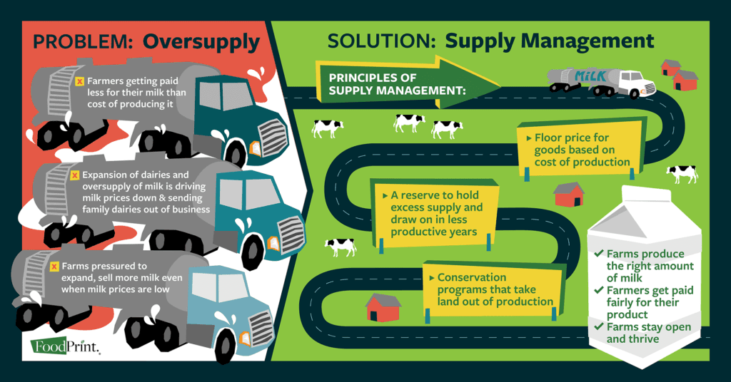 Infographic about supply management of dairy