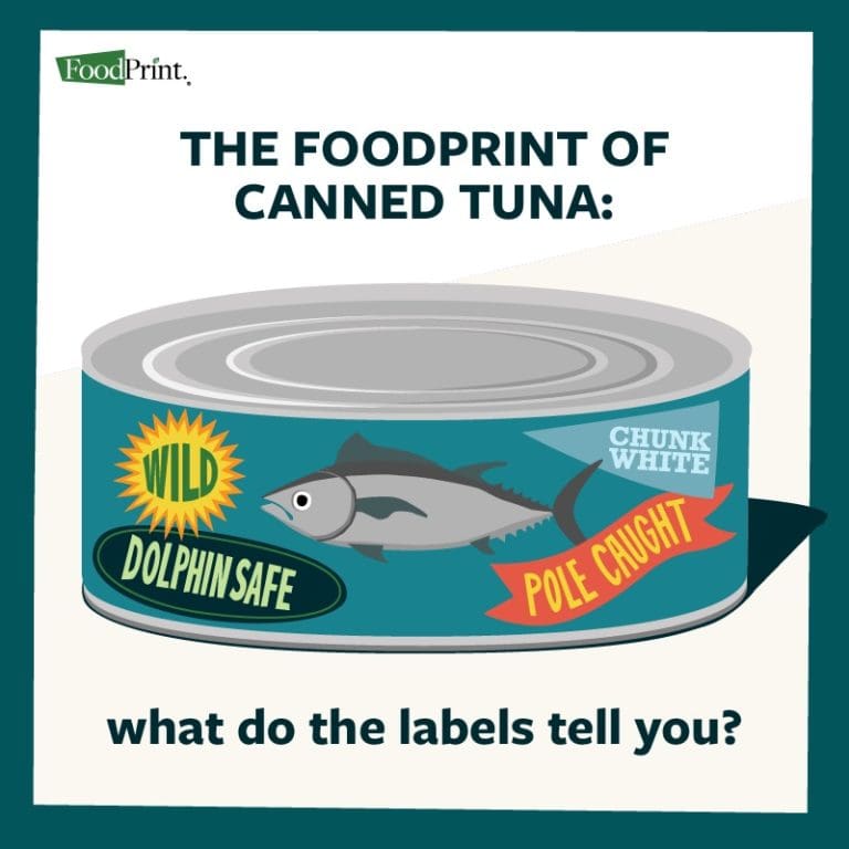 How to Read & Decipher Canned Tuna Labels FoodPrint
