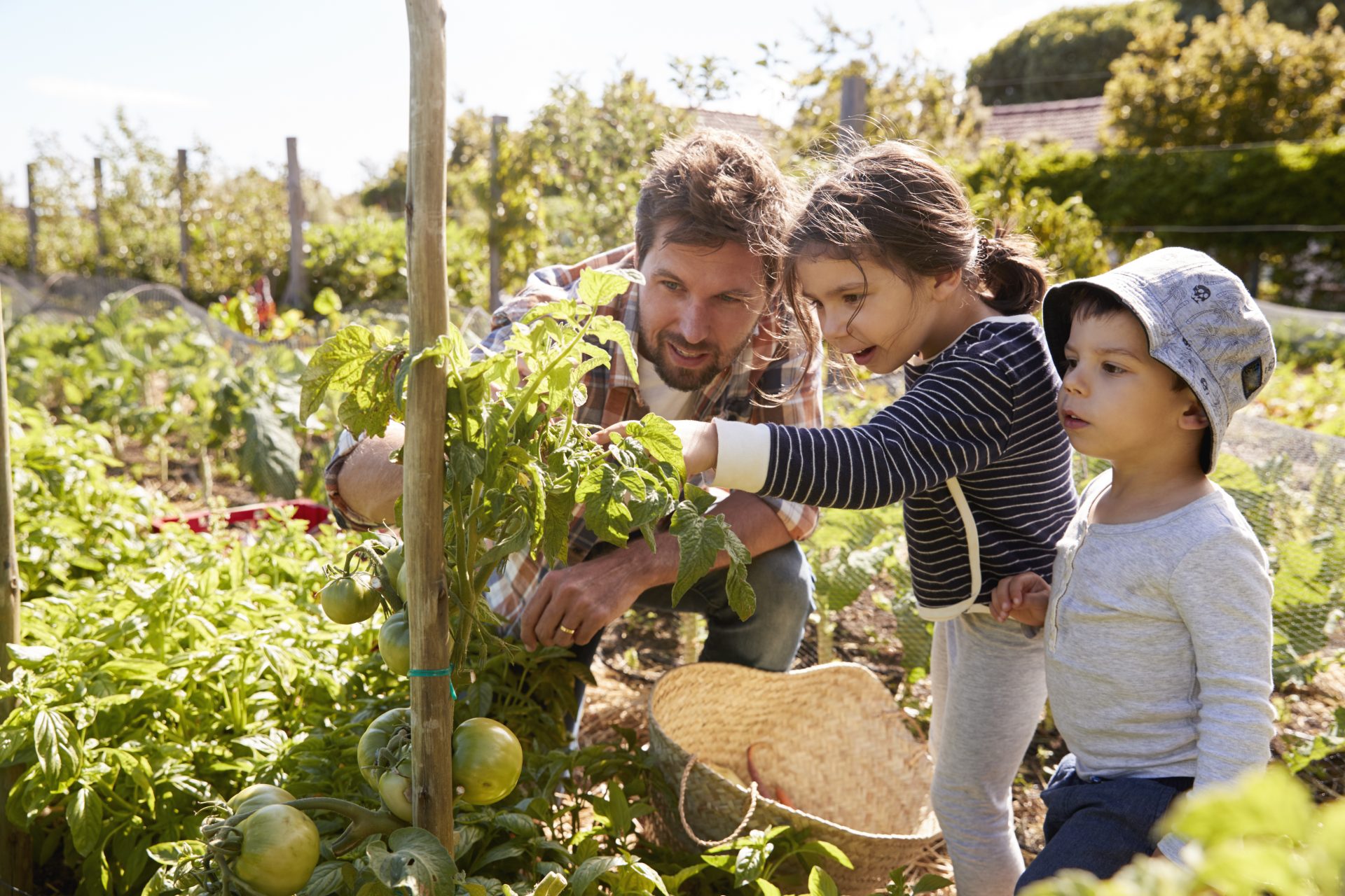 kids and adults growing your own food