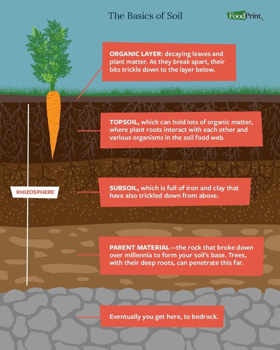 The Importance of Soil for Climate Change - FoodPrint