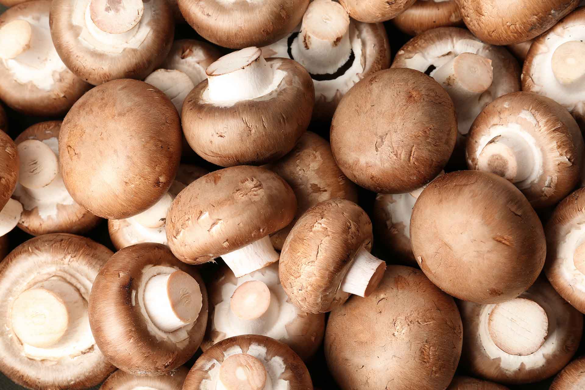 brown button mushrooms