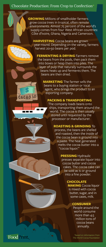 Tracing the steps of chocolate production process