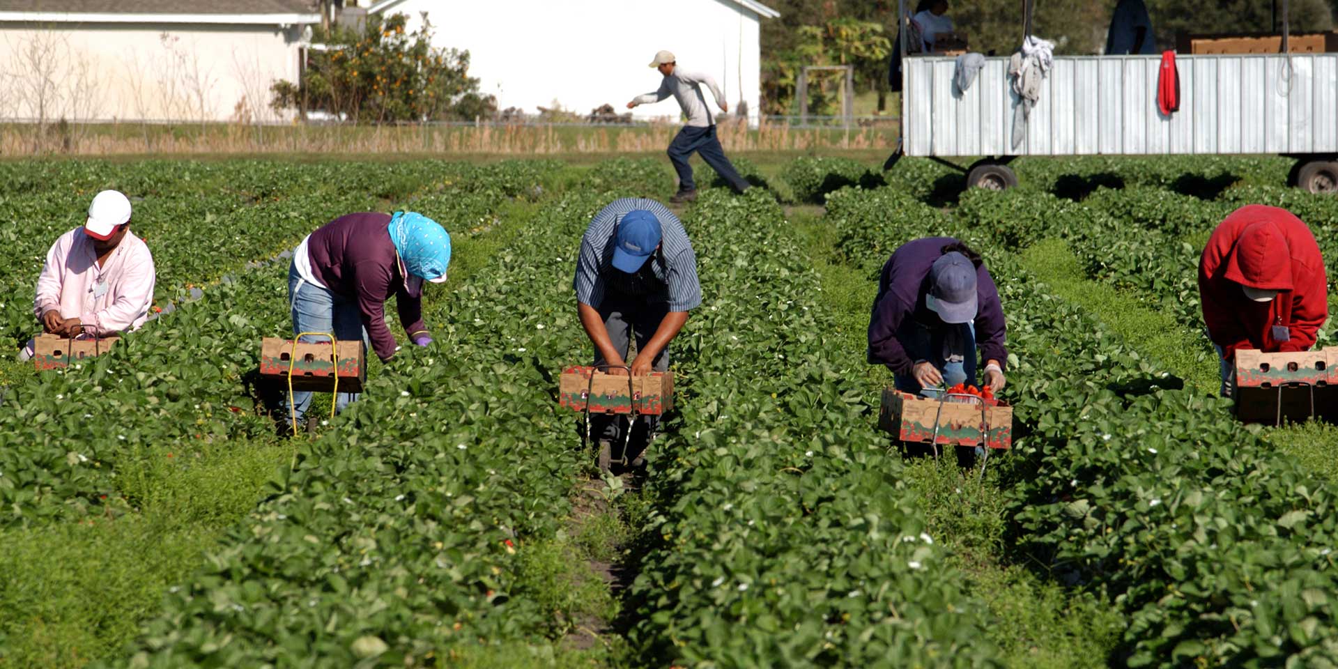 american farmers working