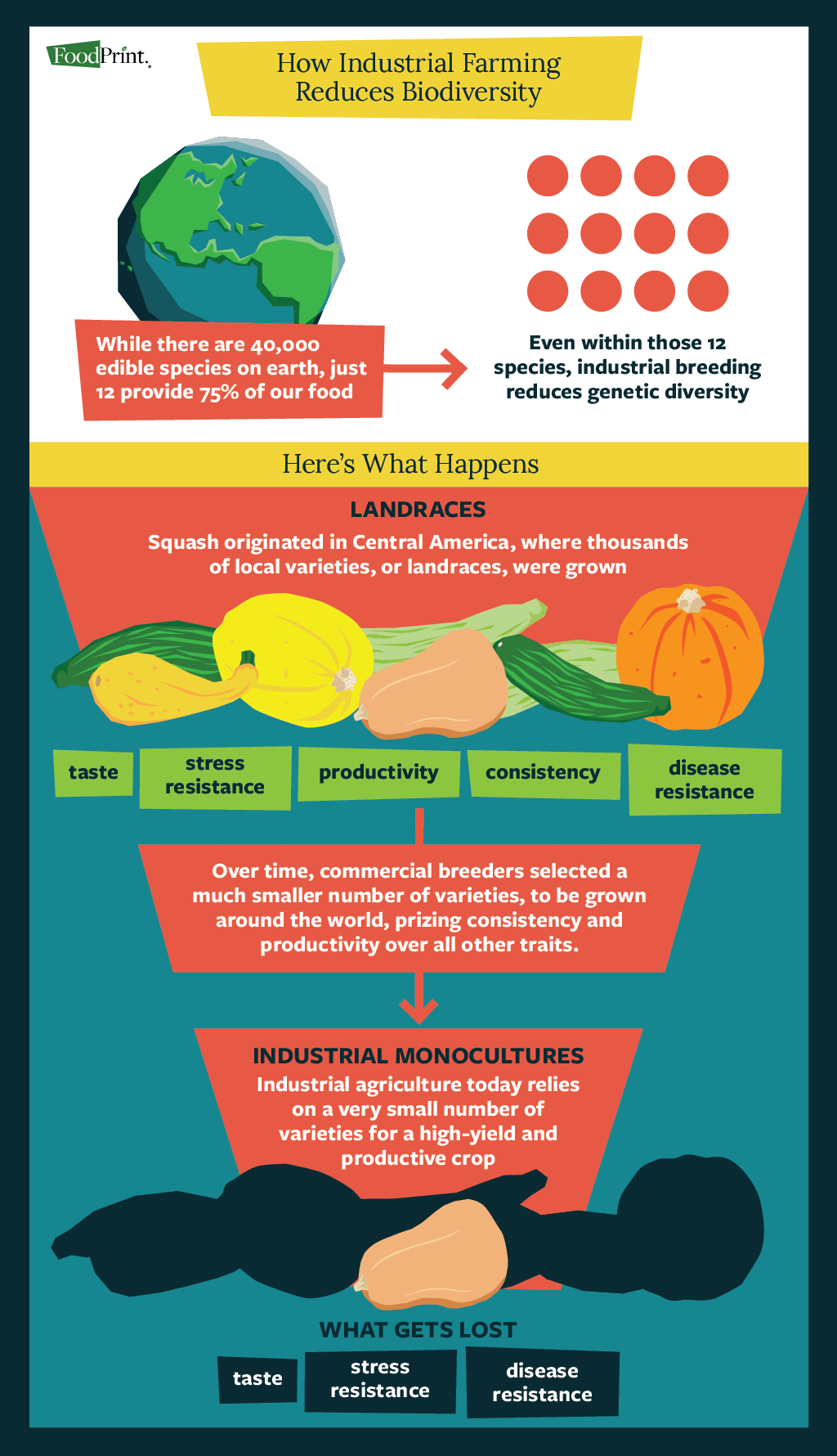 Biodiversity and Agriculture - FoodPrint