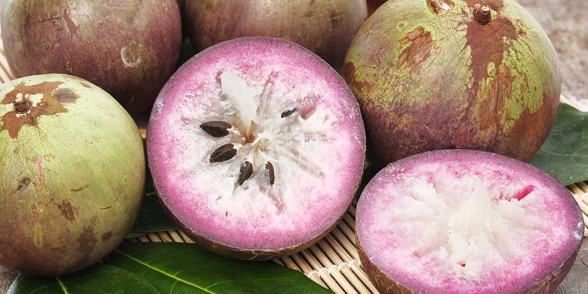 star apple fruit tree