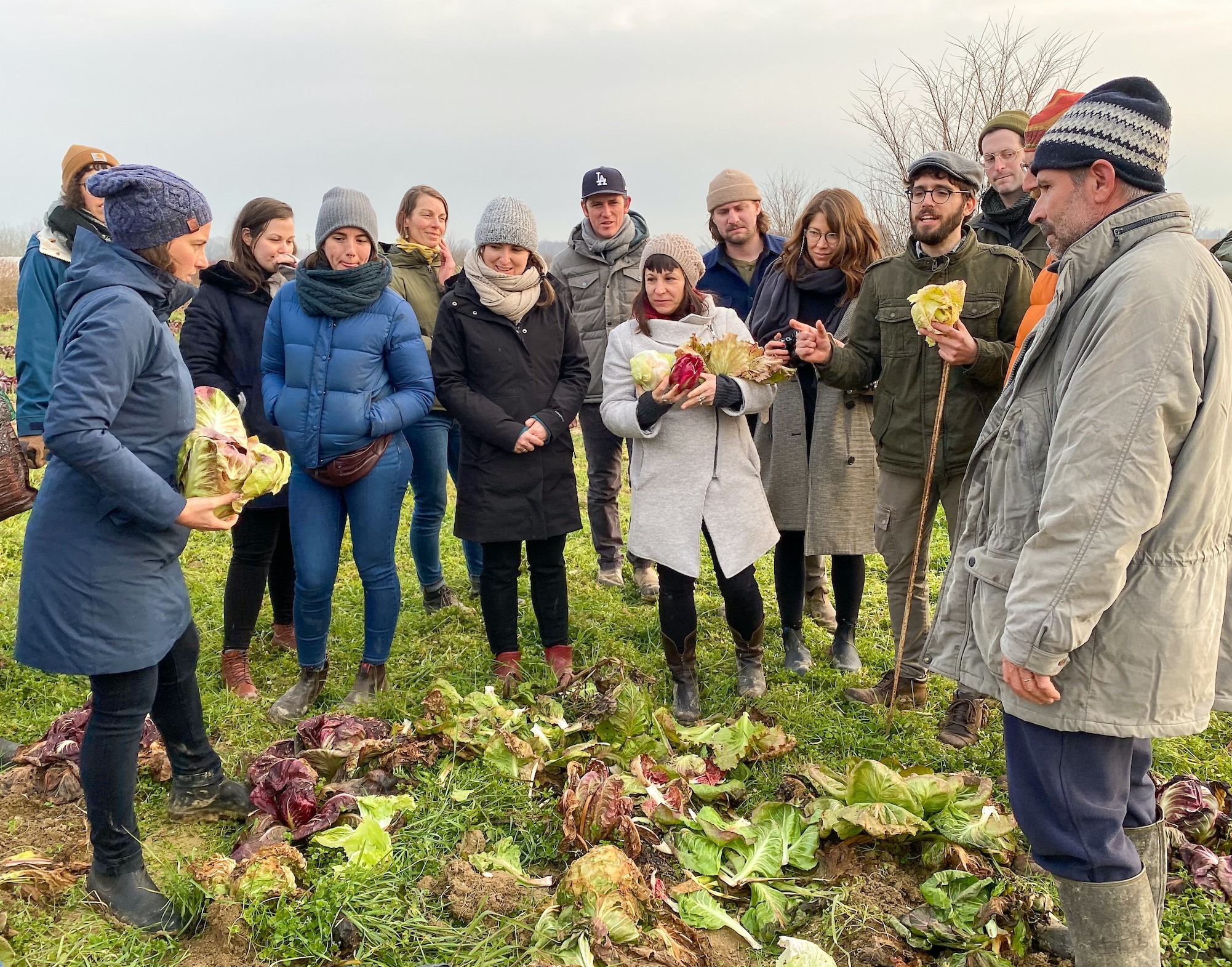 A new book celebrates radicchio, a cold-season stunner