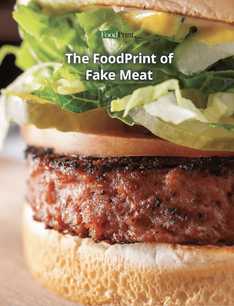 The FoodPrint Of Fake Meat - FoodPrint