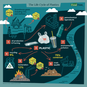 The Lifecycle of Plastics