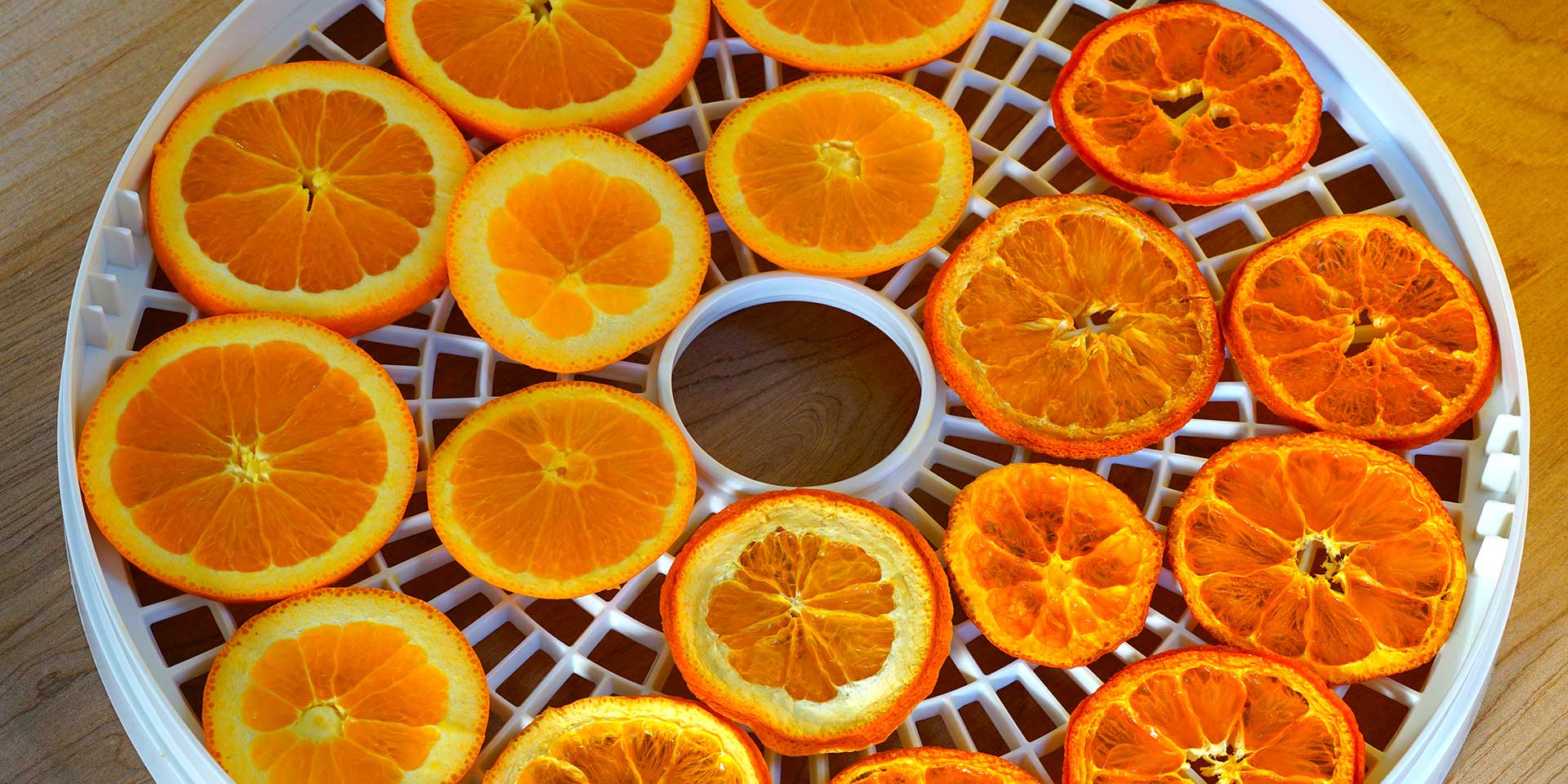 dehydrated orange slices in a dehydrator