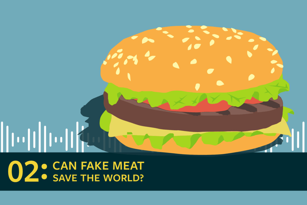 fake meat burger
