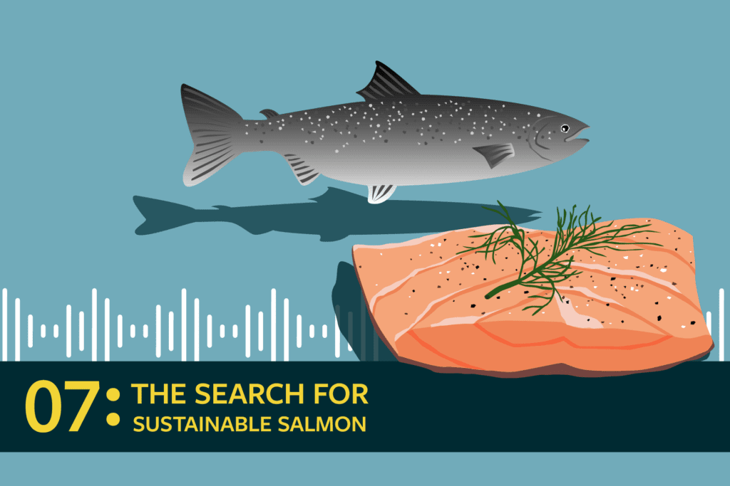 sustainable salmon
