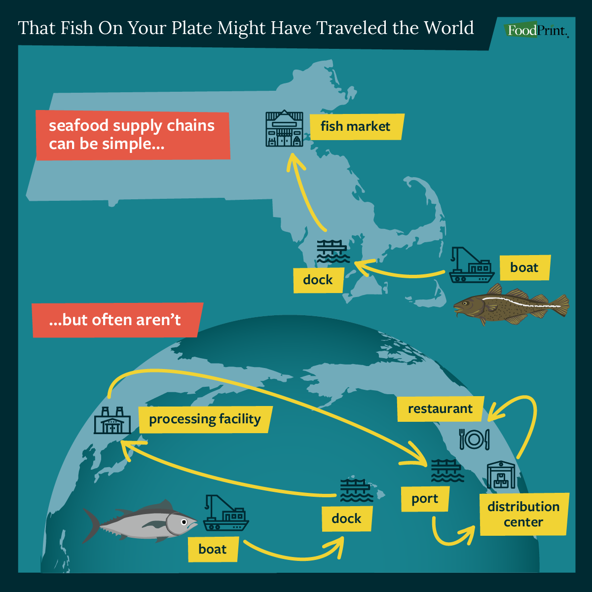 graphic depicting the supply chain for seafood
