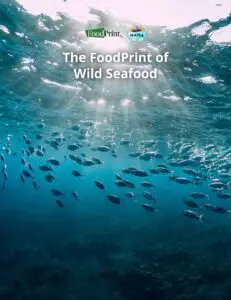 The FoodPrint of Wild Seafood