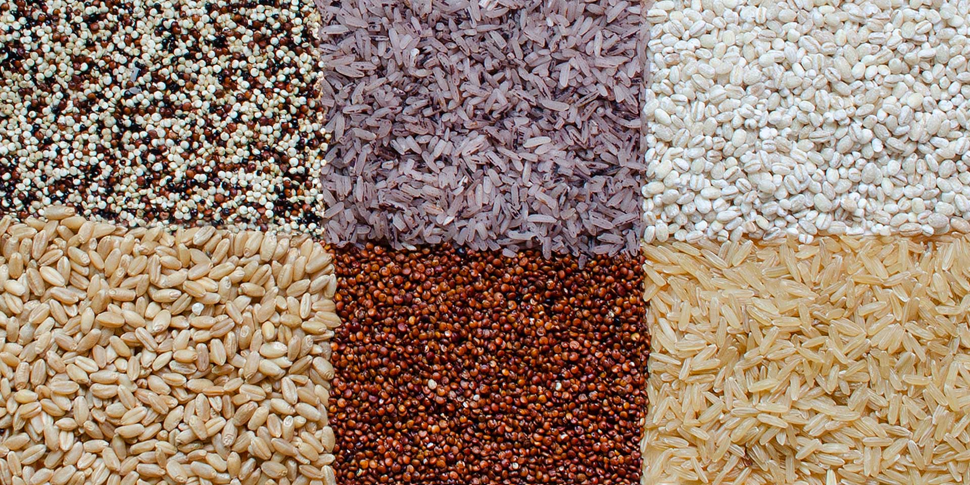 variety of grains