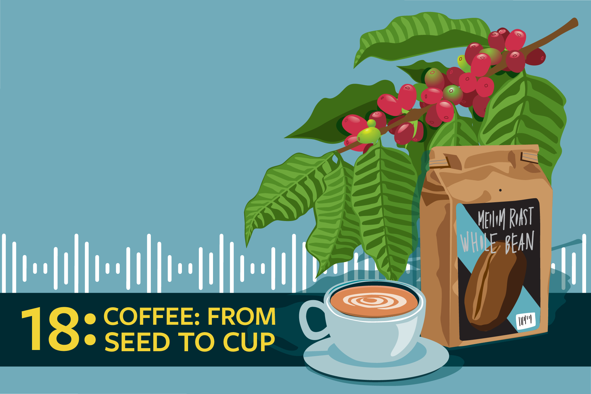 illustration of coffee cup, bag of coffee beans and a coffee plant