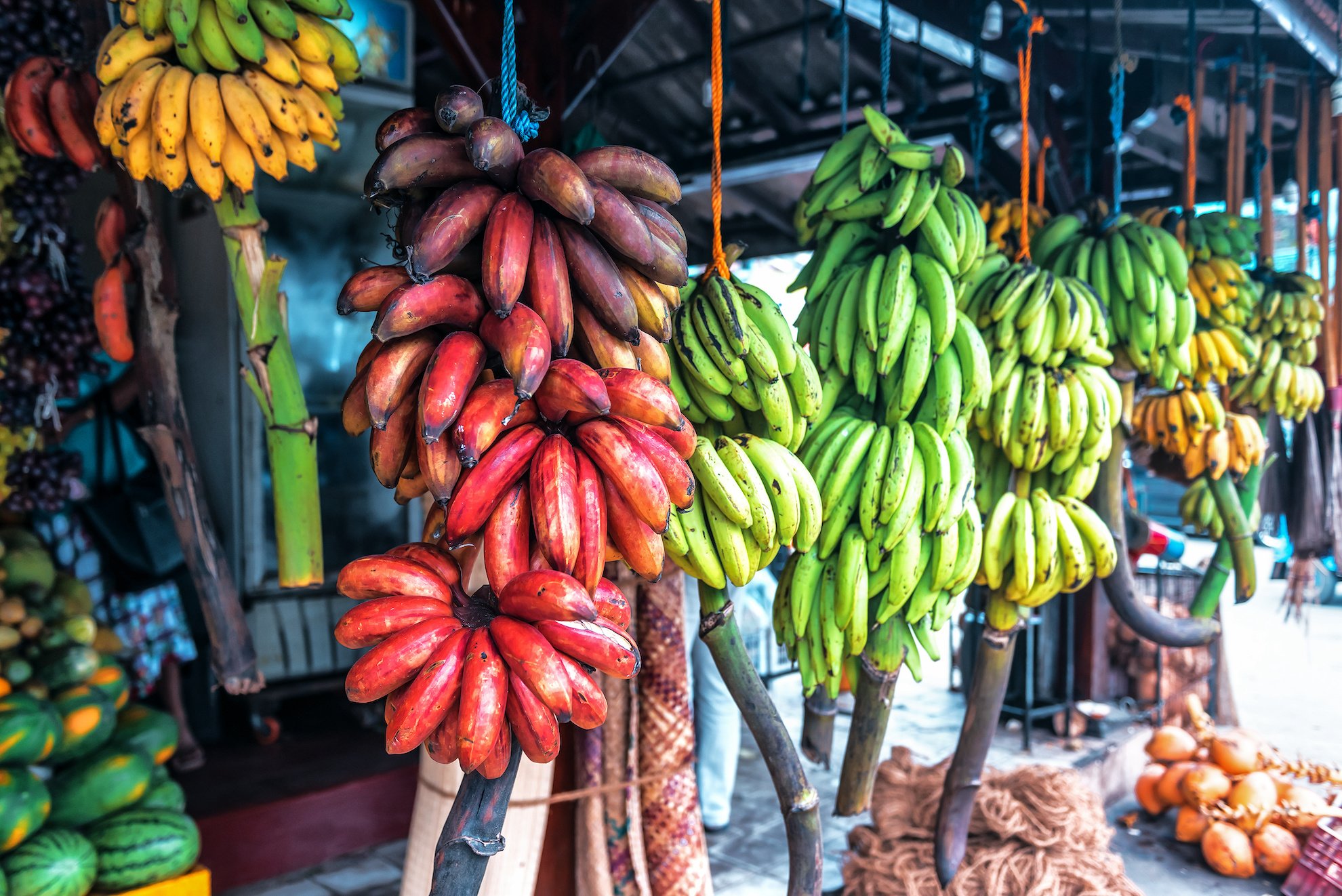 banana varieties at the market